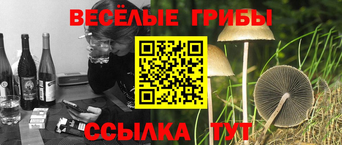 Псилоцибиновые грибы мухоморы  Вход с VPN  купить наркоту  Самара 